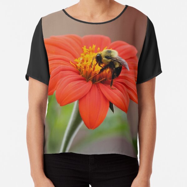 Chiffon Top
