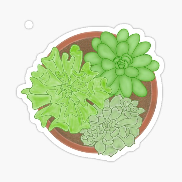 Pot of Succulents Sticker