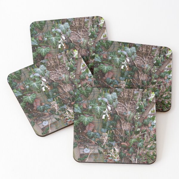 Item preview, Ivy Grows designed and sold by madis802.