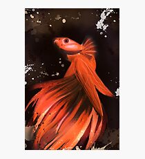 Orange Fish Photographic Print