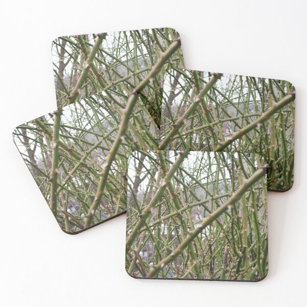 Item preview, Thorn in My Side designed and sold by madis802.