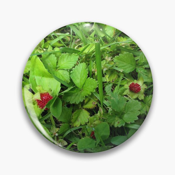 Item preview, Wild Strawberries designed and sold by madis802.