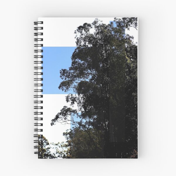 Item preview, Photo effect (a drive) designed and sold by Jodie Cooper.