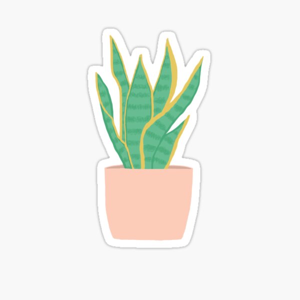 Snake Plant in White Sticker for Sale by karenedralin