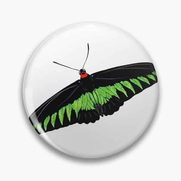 Item preview, Rajah Brooke’s Birdwing designed and sold by Chickieandroo.
