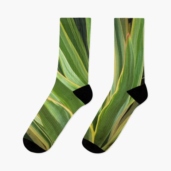 Item preview, Striped Blades designed and sold by Djjin66.