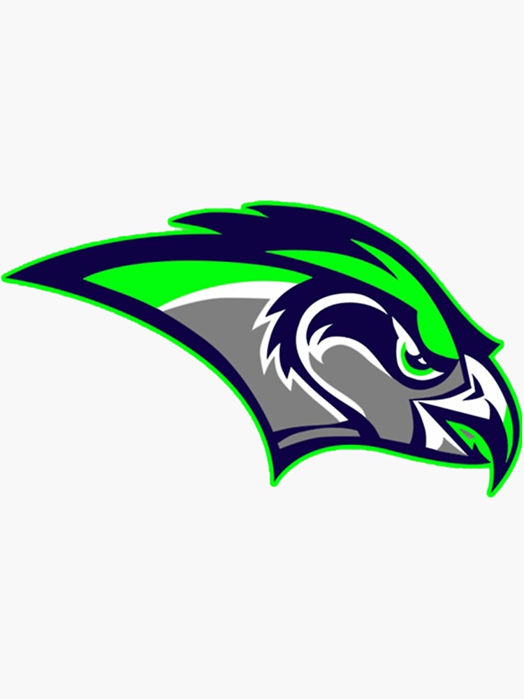 Seattle Seahawks Football Art Ideas & Designs