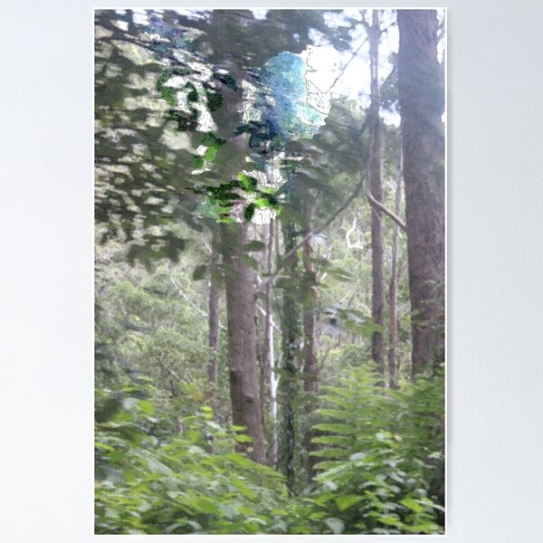 Photo effect (trees) Poster