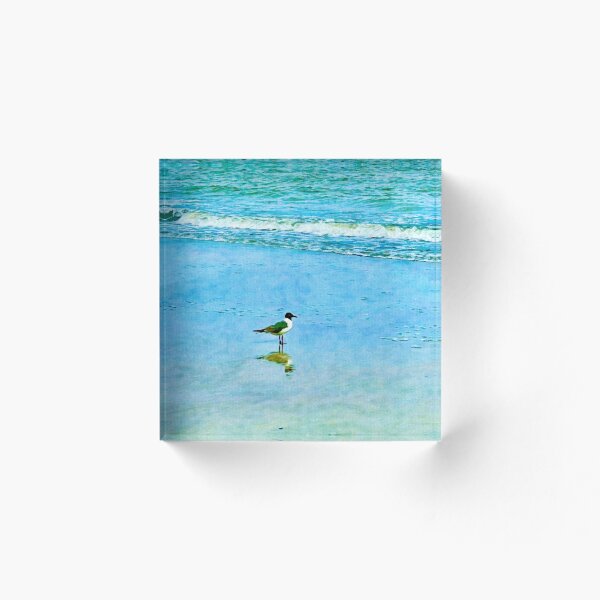 Item preview, A Special Gull on the Shore designed and sold by Pamela Storch.