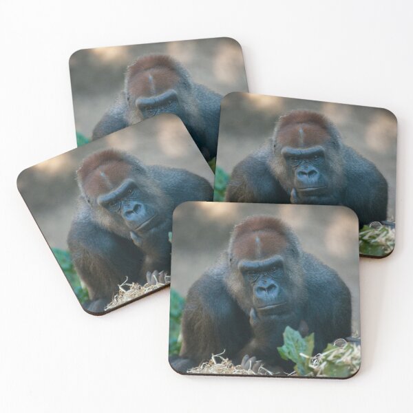 Item preview, Gorila de espalda plateada contemplativo designed and sold by TVD-Photography.
