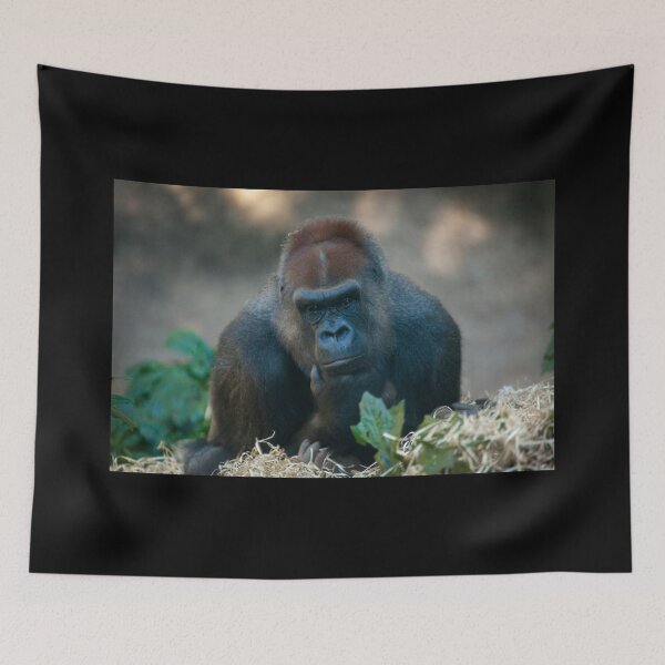 Item preview, Contemplative Silverback Gorilla designed and sold by Daniela Pintimalli.
