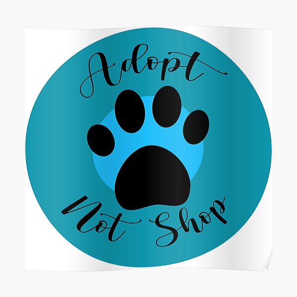 Not Stray Cats Posters for Sale | Redbubble