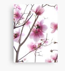 Essence of Spring Canvas Print