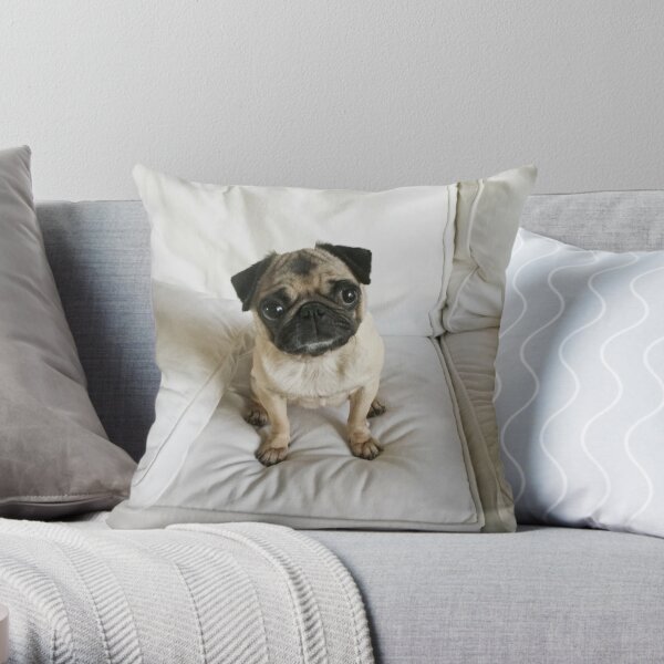 Daisy Pug: Puppy Dog Sitting On White Cushion – Throw Pillow