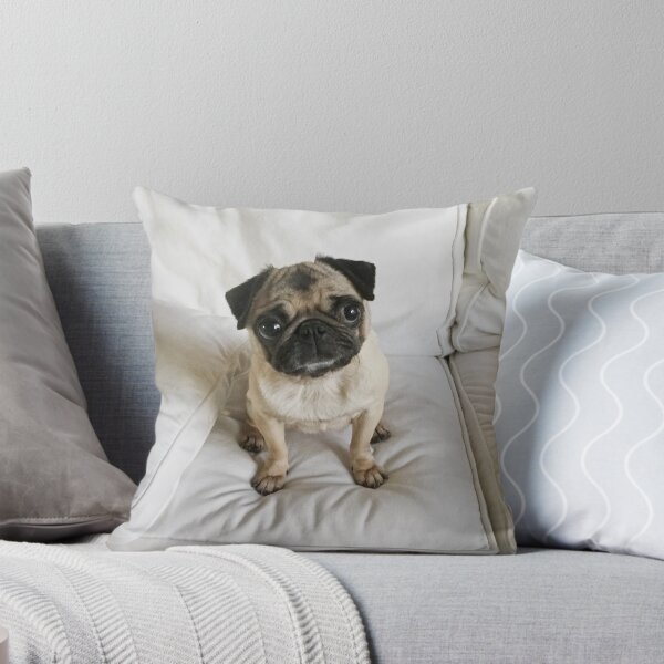 Item preview, Daisy Pug: Puppy Dog Sitting On White Cushion – designed and sold by L.E. Wilson.
