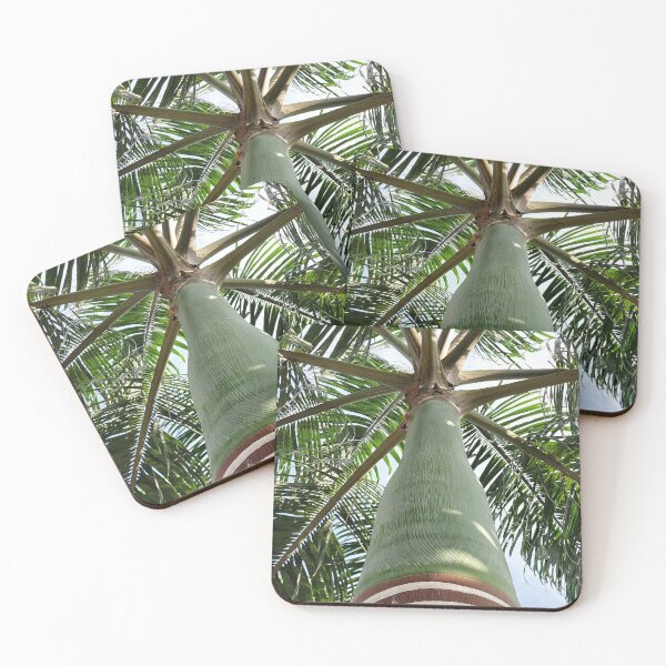 Item preview, Palmtree designed and sold by 12points.