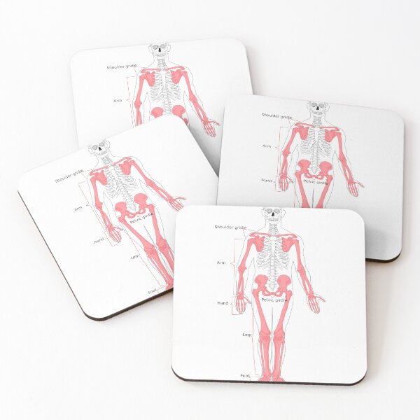 Item preview, Skeleton Flower Girl Lovers Trending Skelton Anatomy Bone halloween  Skulls I Accept It  Normal People Scare Me  i think i'am alive designed and sold by TRIBExSPACE.