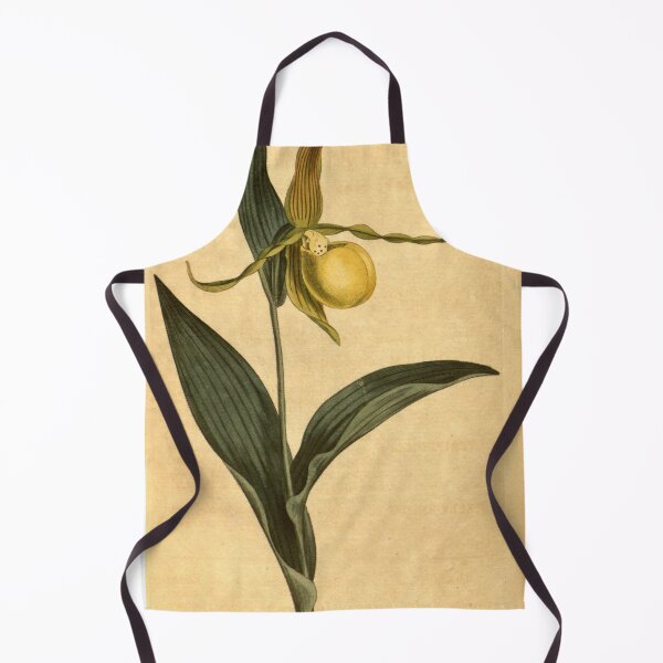 Item preview, Cypripedium pubescens (as C. parviflorum) Curtis' 23 pl. 911 (1806) designed and sold by EsotericBotanic.