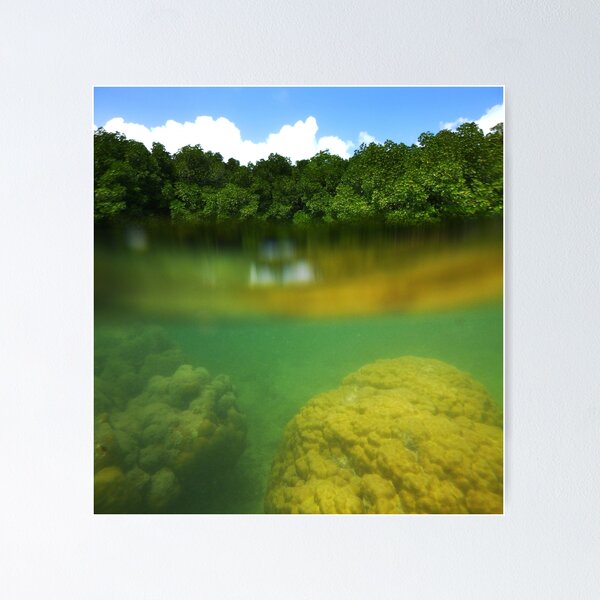 Item preview, Namwenkau Pool - Pohnpei, Micronesia designed and sold by Zuccarelli Art.