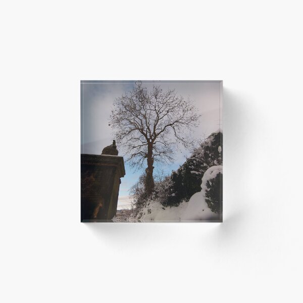 Item preview, Winter Glasgow Necropolis Tree and Monument designed and sold by FlikeNoir.