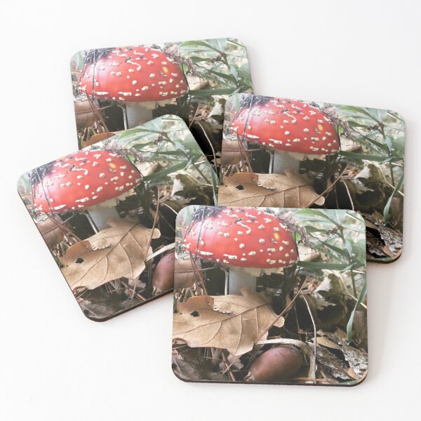 Item preview, home amongst the acorns designed and sold by Daniella.
