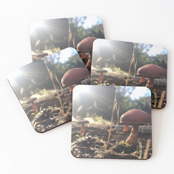 Item preview, soft winter sun designed and sold by Daniella.