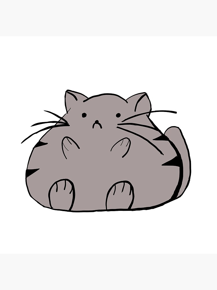 chubby cat pillow