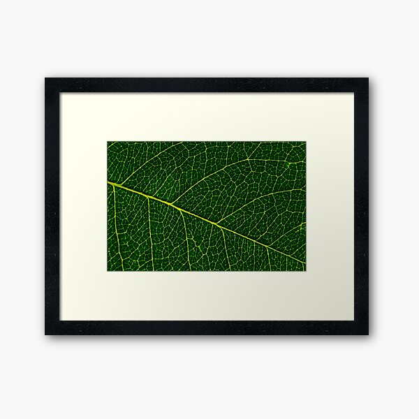 Item preview, Suburbia designed and sold by OzPhotography.