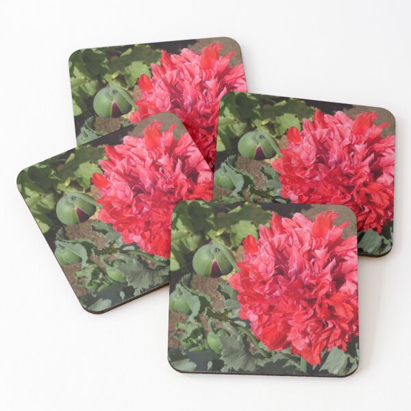 Item preview, Hyacinth Bucket Poppy designed and sold by wiggyofipswich.