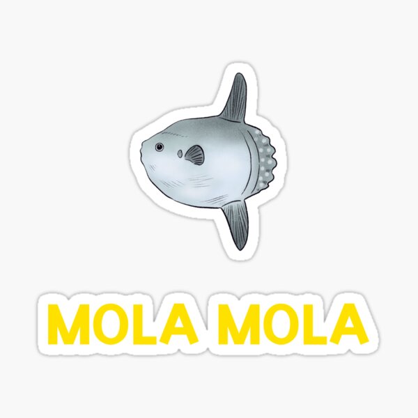Vista previa del artículo con la obra «Pescado mola mola», diseñado y vendido por Lonelychiwawa.