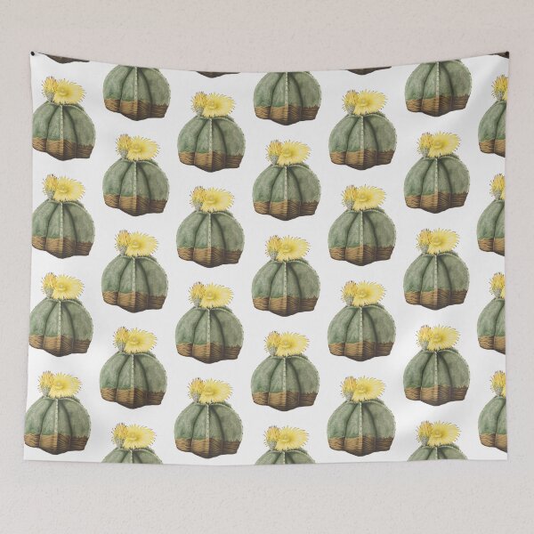 Item preview, Bishop's Cap Cactus in bloom- Astrophytum Myriostigma designed and sold by chimakingthings.