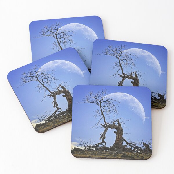 Item preview, 2100 Old tree and Moon designed and sold by Hans Kawitzki.