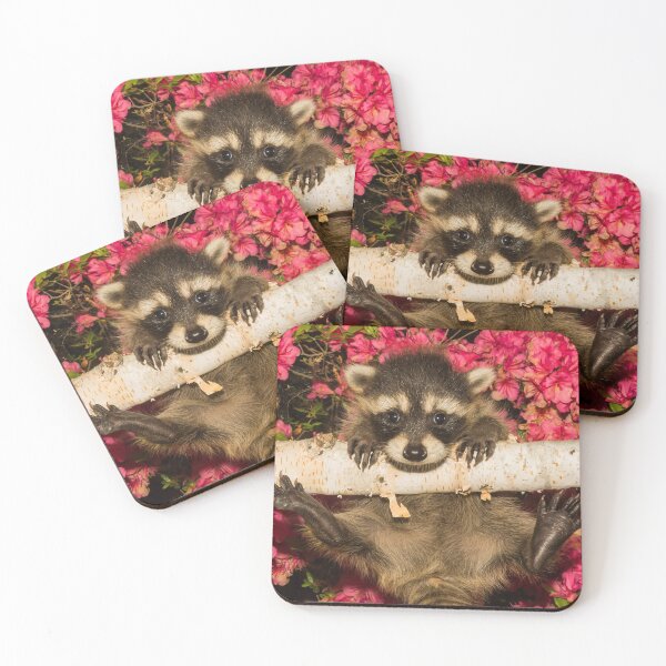 Item preview, Hang In There - Cute Baby Racoon learning to climb designed and sold by cgroenewald.