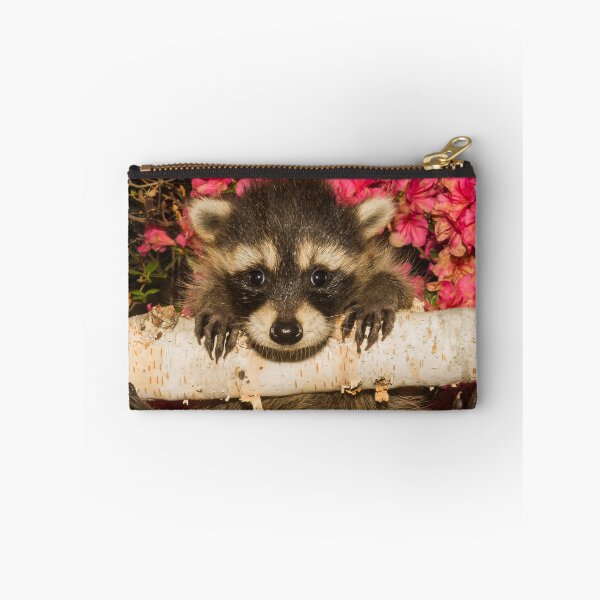 Item preview, Hang In There - Cute Baby Racoon learning to climb designed and sold by cgroenewald.