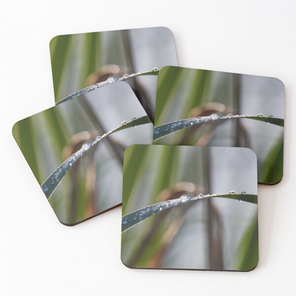 Item preview, Dew drops on blade of grass designed and sold by Ingo Gerlach.