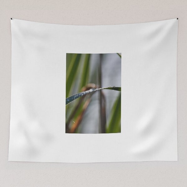 Item preview, Dew drops on blade of grass designed and sold by Ingo Gerlach.