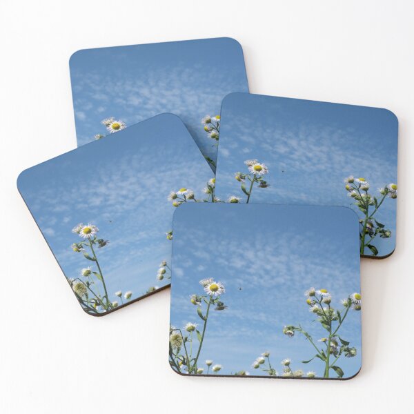 Item preview, Cirrocumulus clouds in blue sky; sunny peaceful spring day. Bee is coming to white and yellow flowers to pollinate. Water in a gaseous state in nature. The atmosphere of the earth. Symbol of freedom designed and sold by Maurizio Fabbroni.