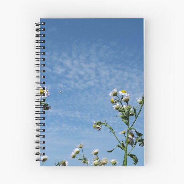 Item preview, Cirrocumulus clouds in blue sky; sunny peaceful spring day. Bee is coming to white and yellow flowers to pollinate. Water in a gaseous state in nature. The atmosphere of the earth. Symbol of freedom designed and sold by Maurizio Fabbroni.
