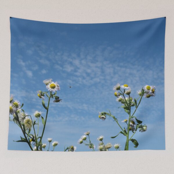 Item preview, Cirrocumulus clouds in blue sky; sunny peaceful spring day. Bee is coming to white and yellow flowers to pollinate. Water in a gaseous state in nature. The atmosphere of the earth. Symbol of freedom designed and sold by Maurizio Fabbroni.