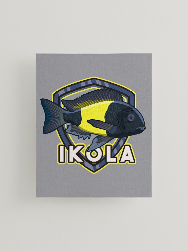 Tropheus Ikola Tanganyika Cichlid Aquarium Fish Keeper Aquarist Mounted  Print for Sale by TheAplus