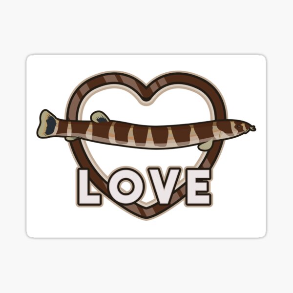 Kuhli Loach Coolie Aquarium Fish Keeper Aquarist Sticker