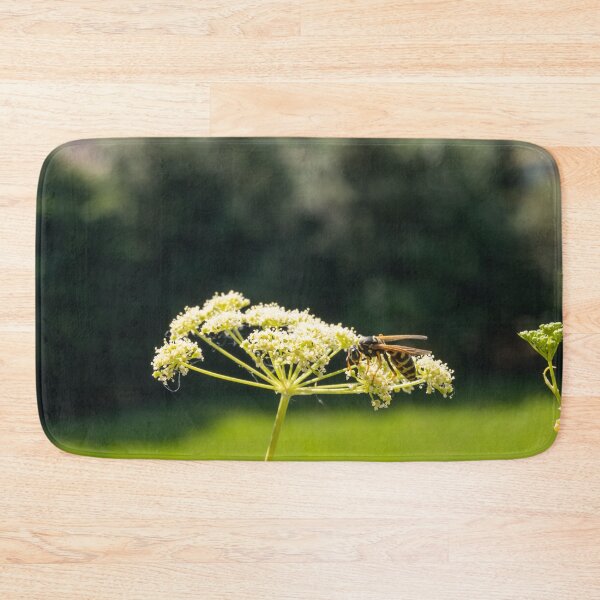 Item preview, Wasp on a white Caraway or meridian fennel flower. Macro photo. Texture of white petals. Wasp close-up. Drawing on the body of a wasp. The wasp pollinates the flower. Natur green background. Bokeh designed and sold by Maurizio Fabbroni.