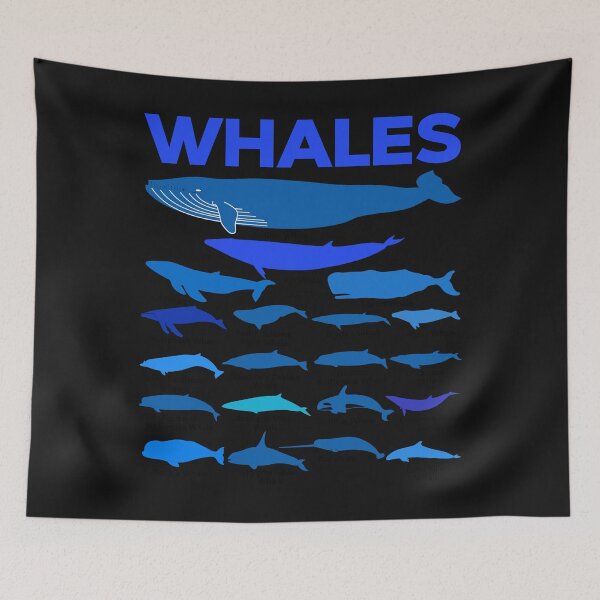 Item preview, Whale Types Blue Cetacean Leviathan Species Ocean Fish Lover Gift designed and sold by TheAplus.