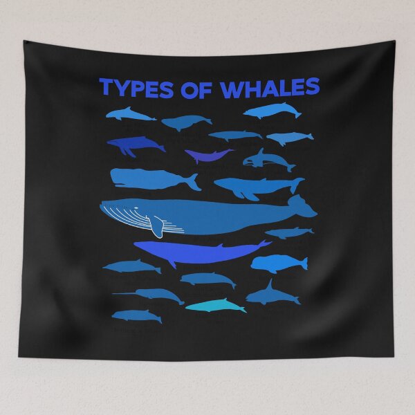 Item preview, Whale Types Narwhale Cetacean Leviathan Species Ocean Fish Lover Gift designed and sold by TheAplus.
