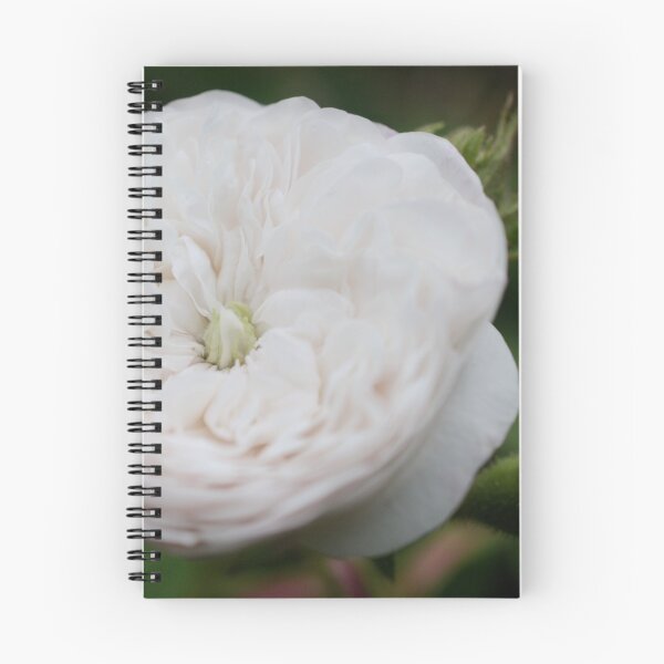 Item preview, Pristine designed and sold by kjamesphotos.