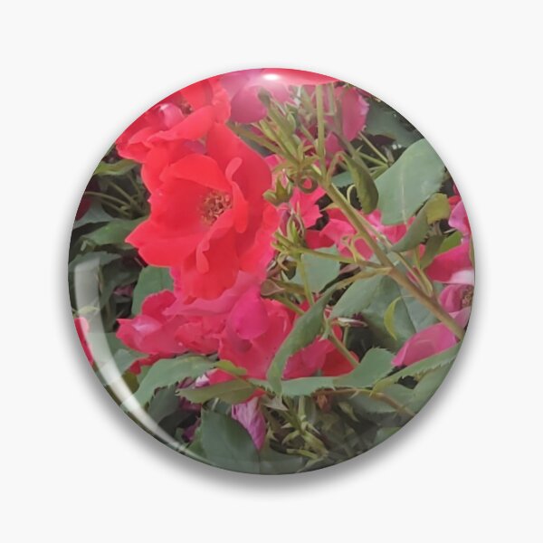 Item preview, Pink Roses Photo designed and sold by JDWCreations.