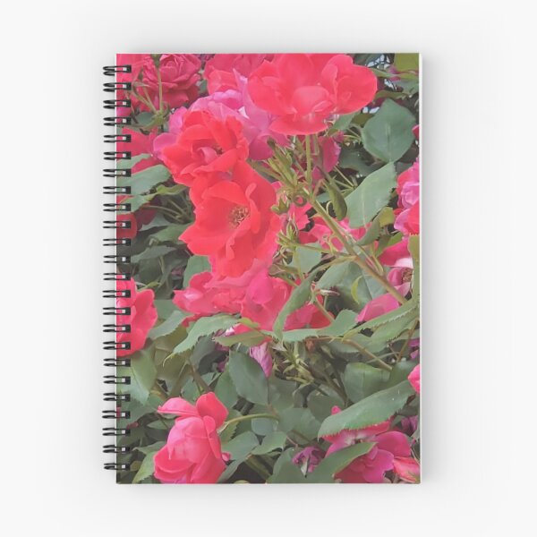 Item preview, Pink Roses Photo designed and sold by JDWCreations.