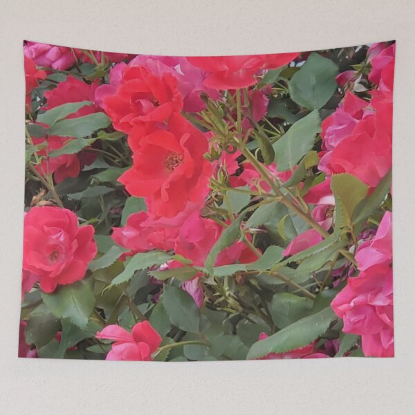 Item preview, Pink Roses Photo designed and sold by JDWCreations.