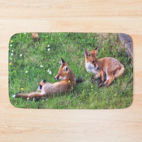 Item preview, Cubs Chilling Out designed and sold by Vicki Spindler (VHS Photography).