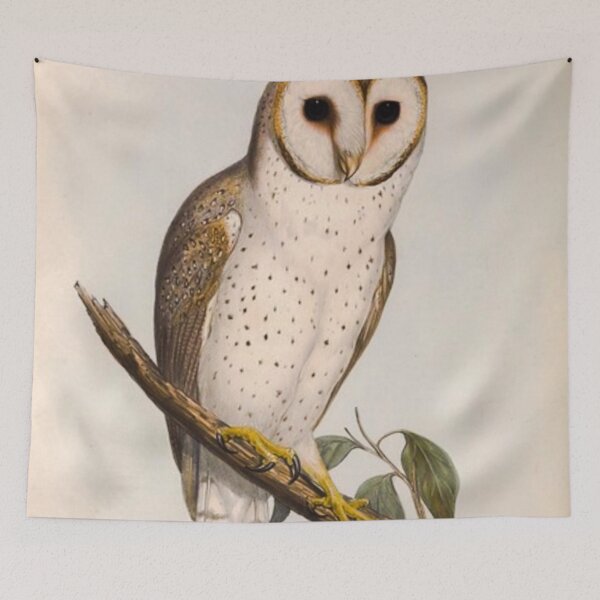 Item preview, Vintage old owl illustration  designed and sold by TrippyEarth.